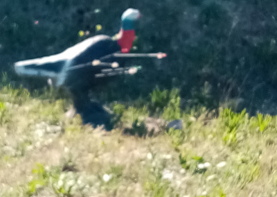 IMG 20220409 102532 resized 20220409 055606277