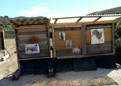 IMG 20220409 144914 resized 20220409 055604055 e1649790989581