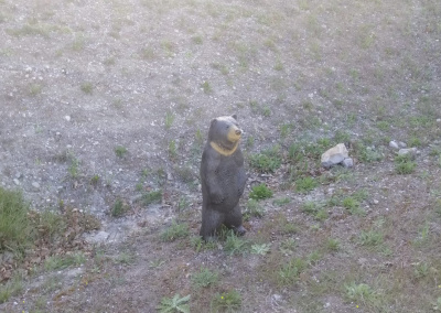 image00000013 e1649791066511