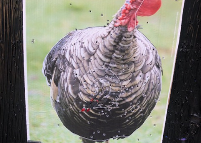 70125172550 08981A4B 2001 43DC AA18 20CFE20C992F