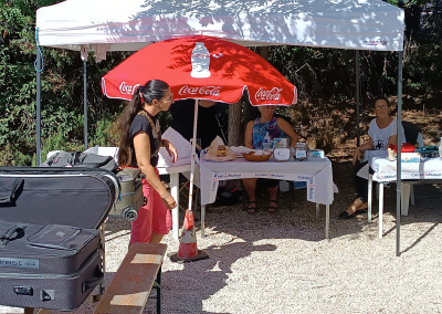 385808502 4026204267606595 5448529571515816151 n