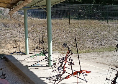 385857037 4026207374272951 1545925870081754603 n