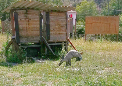 IMG 20240522 144932 DxO