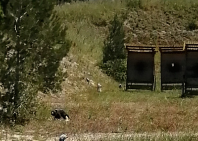 IMG 20240522 150040 DxO